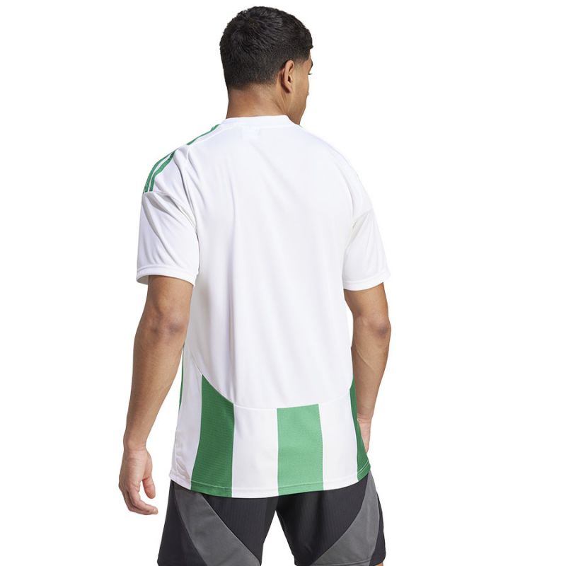 Adidas Striped 24 JSY M T-shirt IW2148 Póló