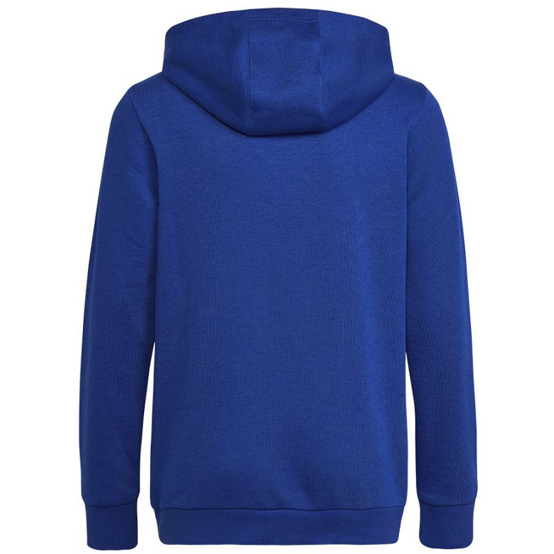 adidas Sweatshirt adidas Big Logo Essentials Hoody Jr HN1912 Pulóver