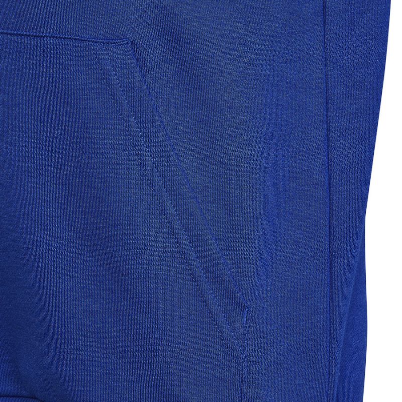 adidas Sweatshirt adidas Big Logo Essentials Hoody Jr HN1912 Pulóver