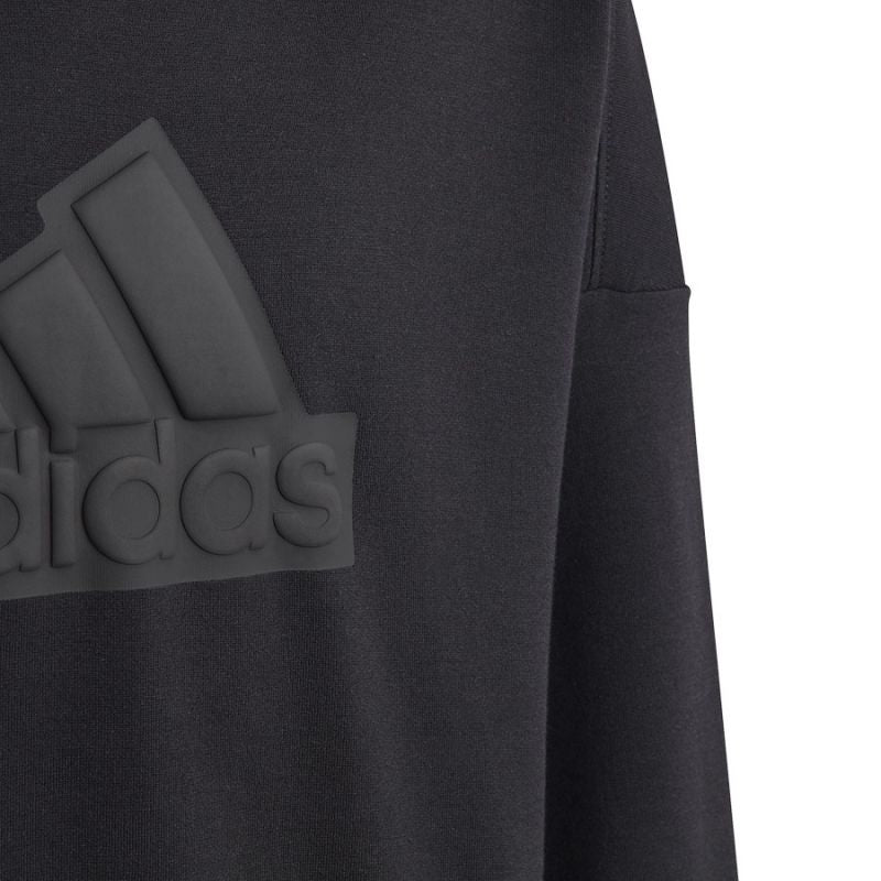 adidas Sweatshirt adidas FI Logo HD Jr. HR6301 Pulóver