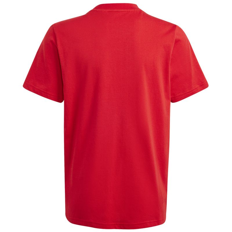 adidas T-shirt adidas Big Logo Tee Jr IJ6262 Póló