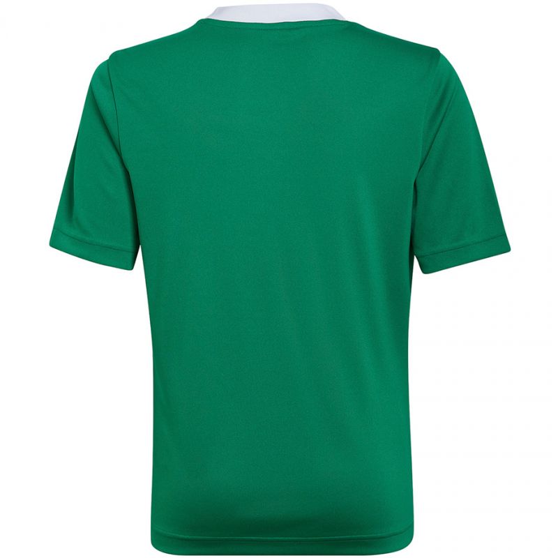 adidas T-shirt adidas Entrada 22 Jersey Jr HI2126 Póló Ruházat Póló - Sportmania.hu