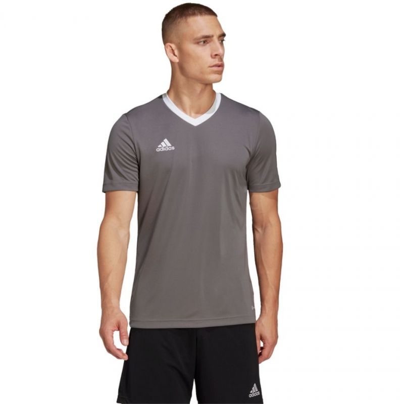 adidas T-shirt adidas Entrada 22 Jersey M HE1574 Póló Ruházat Póló - Sportmania.hu