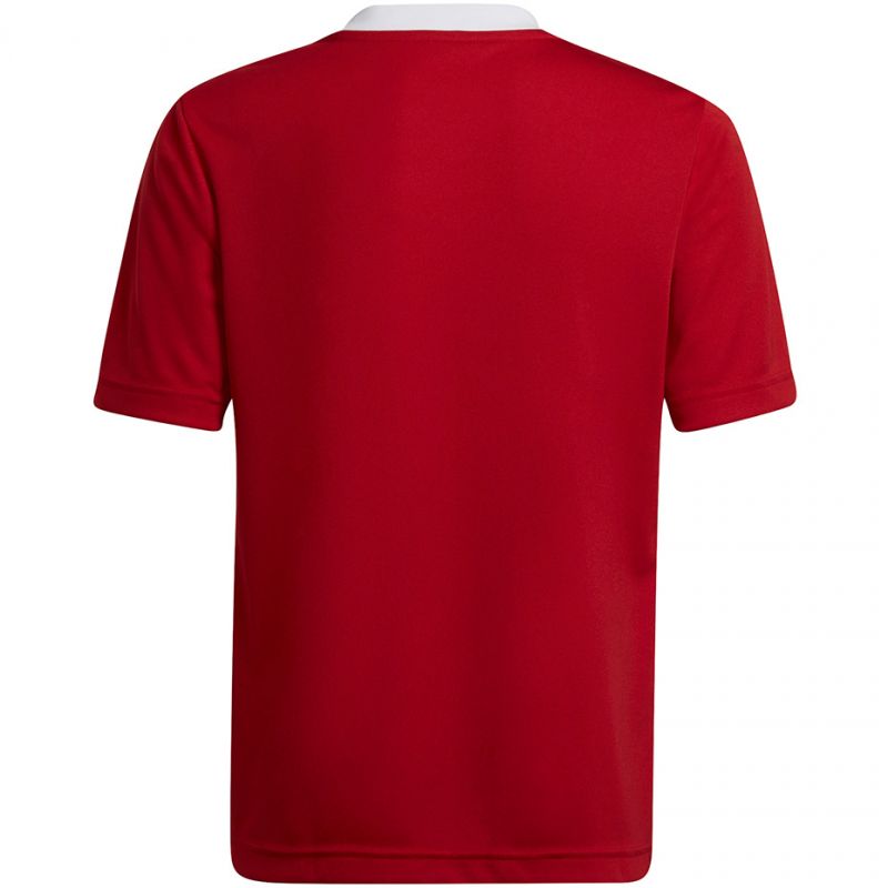 adidas T-shirt adidas Entrada 22 Jsy Jr H57496 Póló Ruházat Póló - Sportmania.hu