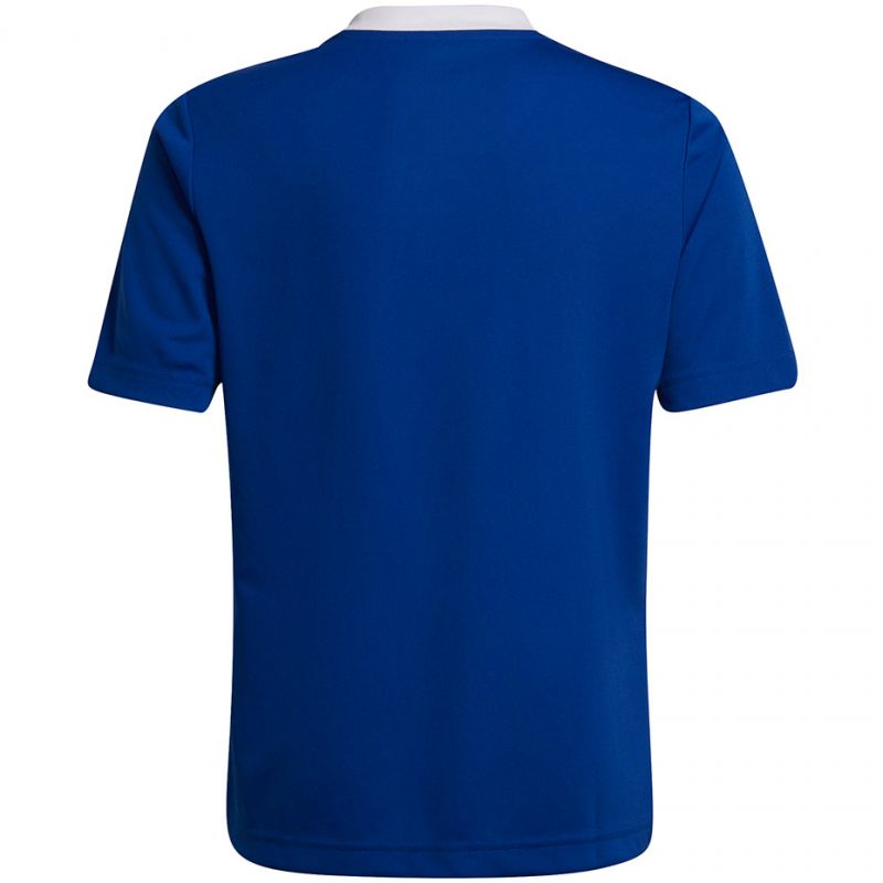 adidas T-shirt adidas Entrada 22 Jsy Jr HG3948 Póló Ruházat Póló - Sportmania.hu