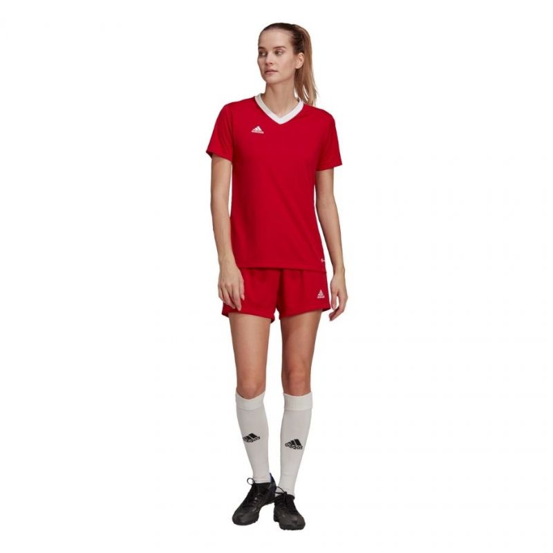 adidas T-shirt adidas Entrada 22 Jsy W H57571 Póló