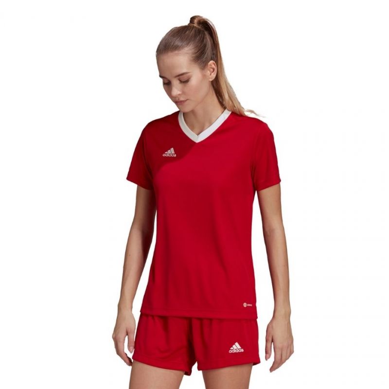 adidas T-shirt adidas Entrada 22 Jsy W H57571 Póló