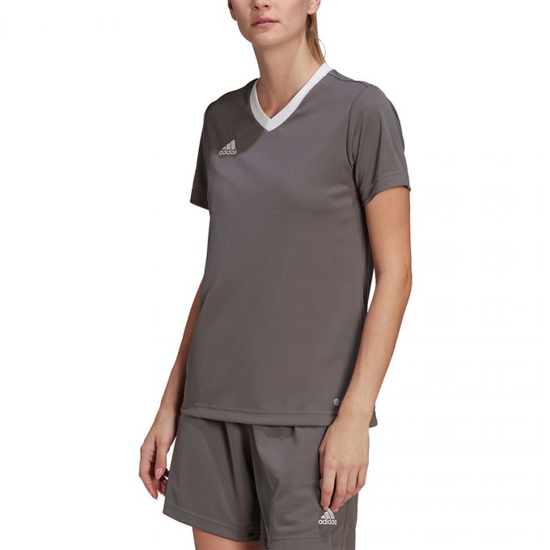 adidas T-shirt adidas Entrada 22 Jsy W H59848 Póló