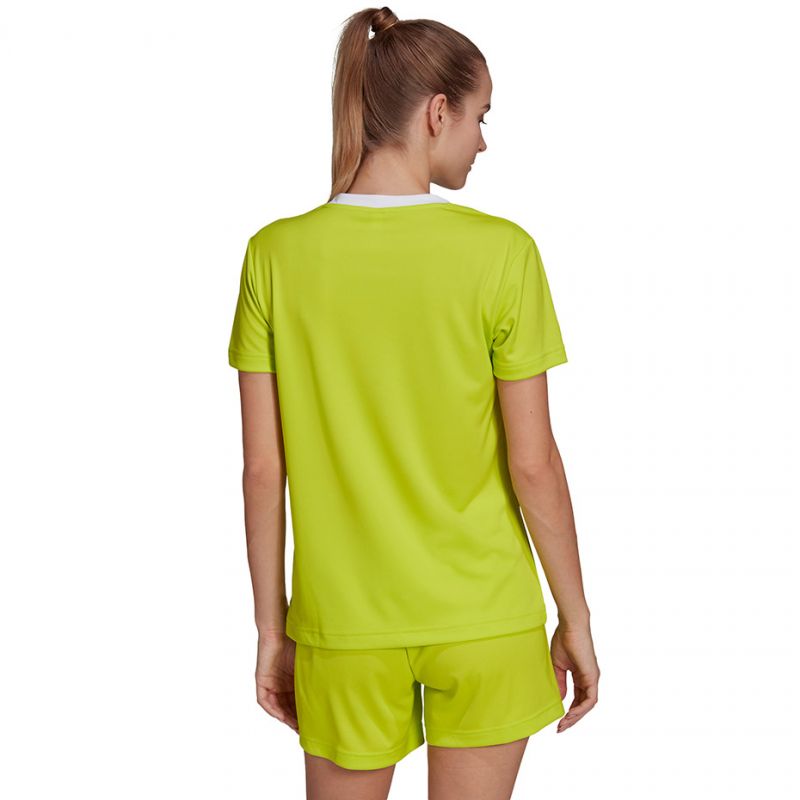 adidas T-shirt adidas Entrada 22 Jsy W HC5080 Póló