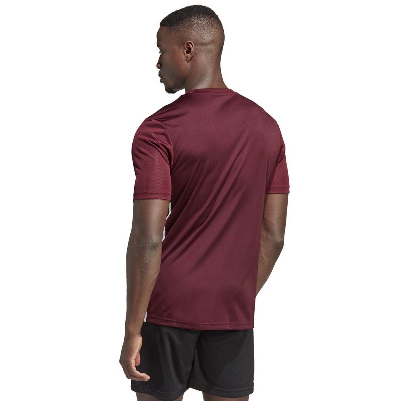 adidas T-shirt adidas Table 23 Jersey férfi Póló IB4928