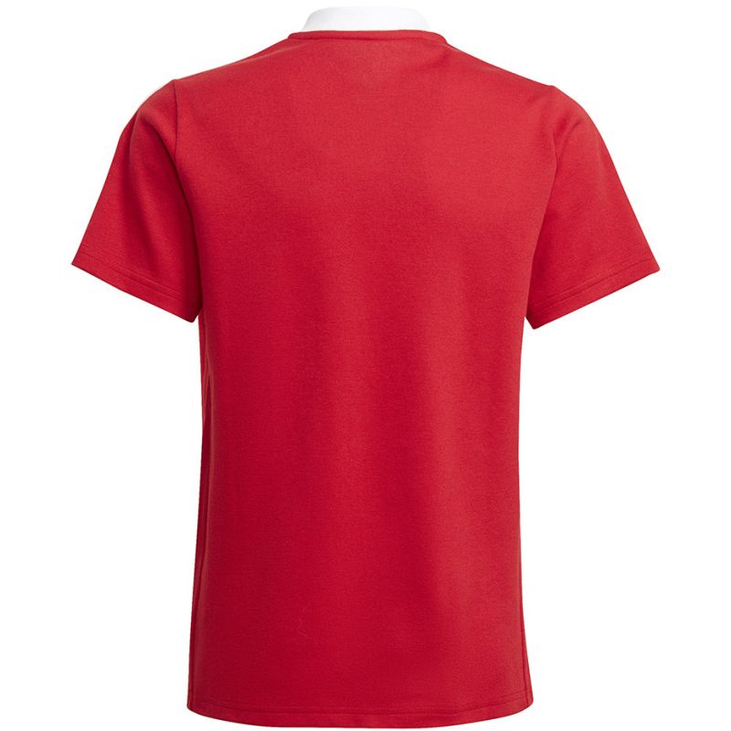 adidas T-shirt adidas Tiro 21 Polo Jr. GM7346 Póló - Sportmania.hu
