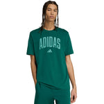 adidas T-shirt Collegiate Lineage Graphic M KA7135 póló - Sportmania.hu