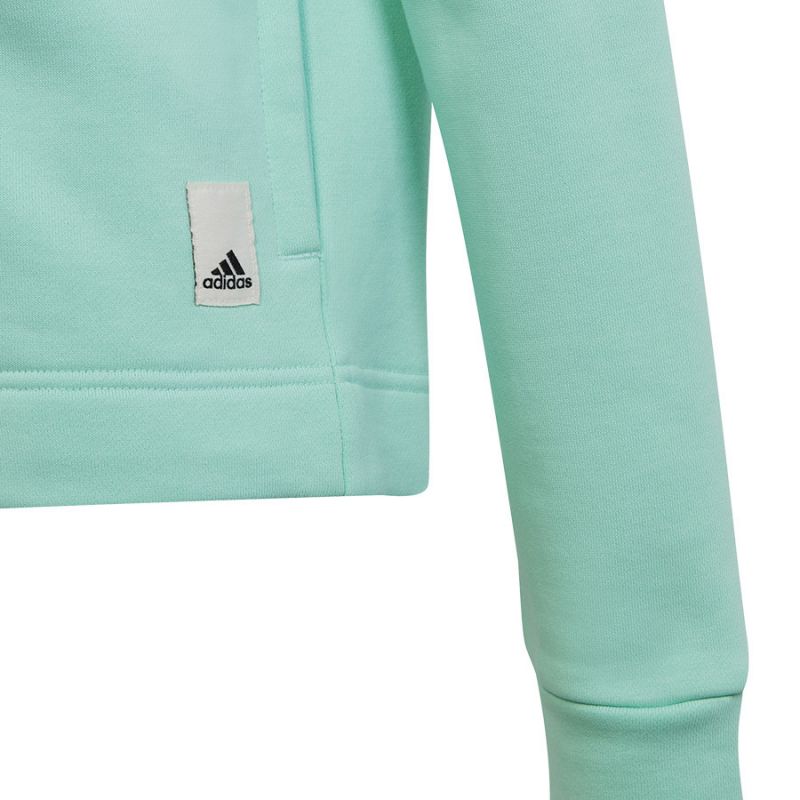 adidas Tracksuit adidas Cotton Hoodie TS Jr. HR5840 Kapucnis pulóver