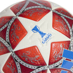 adidas WUCL PRO ball labda JW1325