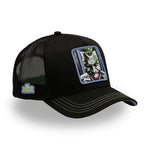 Capslab DC Comics Joker Cap baseball sapka CL-DC8-1-CT-JOK