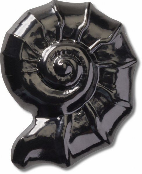 Dark Swirl Shell