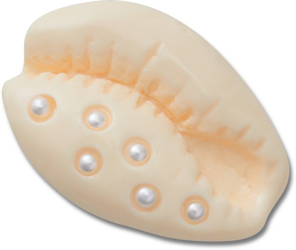 Crocs Pearl Puka Shell unisex