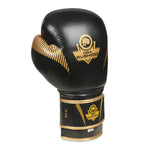 DBX Bushido 10oz - Aureos - Valor Series boxkesztyű