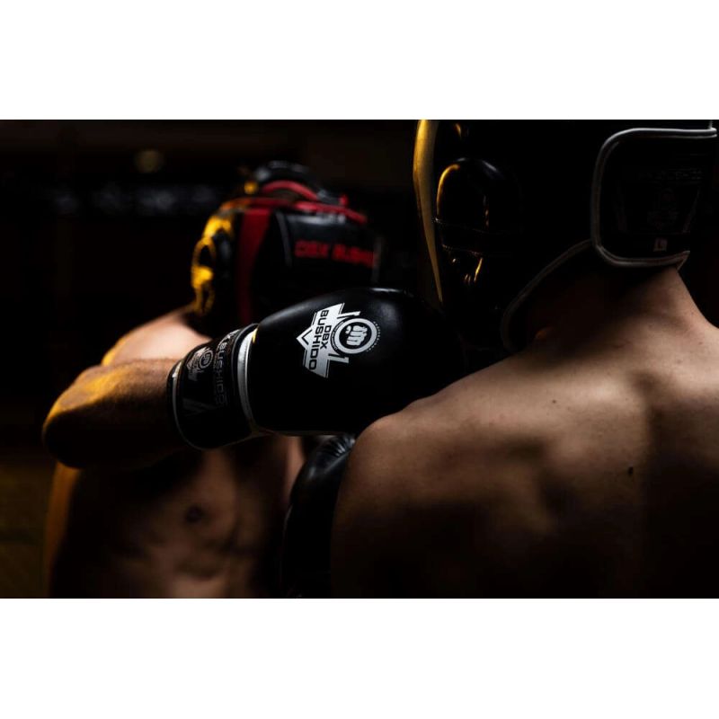 DBX Bushido 10oz - Classic - Origin Series fehér boxkesztyű