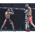 DBX Bushido 10oz - Classic - Origin Series fehér boxkesztyű