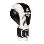 DBX Bushido 10oz - Edge - Valor Series boxkesztyű