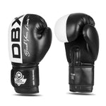 DBX Bushido 10oz - Harmony - Valor Series boxkesztyű