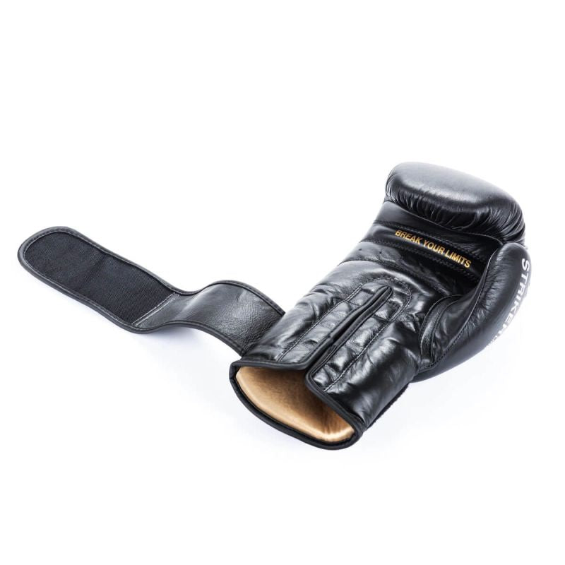 DBX Bushido 10oz - Striker - Legacy Series boxkesztyű