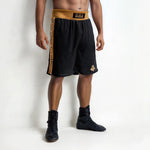 DBX Bushido GOLD training boxing shorts ezüst rövidnadrág