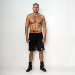DBX Bushido GOLD training boxing shorts ezüst rövidnadrág