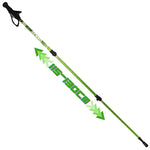 Enero NORDIC WALKING TRAVEL POLES IN CASE