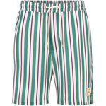 Fila Lastro Shorts színes férfi rövidnadrág