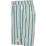 Fila Lastro Shorts színes férfi rövidnadrág
