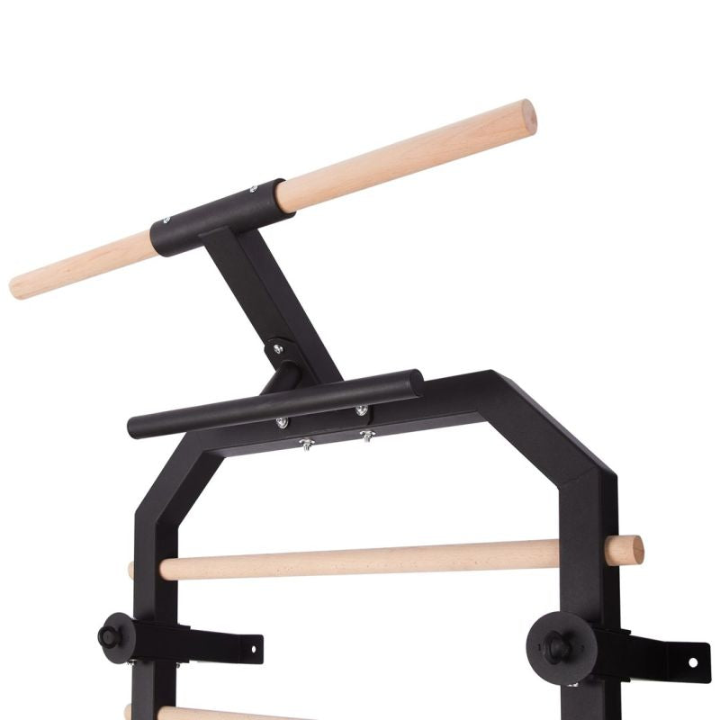 HMS multifunctional gymnastic ladder fekete 17-53-514