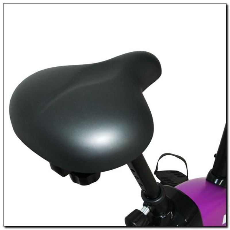 HMS Purple magnetic bike lila 17-01-009