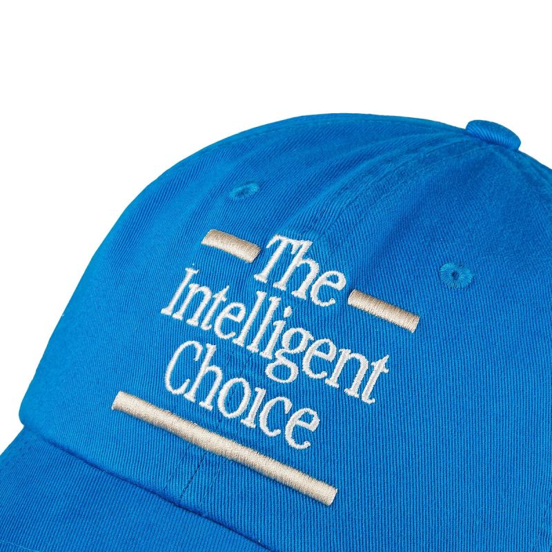 New Balance 6 Panel the Intelligent Choi baseball sapka - Sportmania.hu