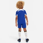 Nike Chelsea FC 2023/24 JSY Stadium Home Jr Football Kit DX2799-496 Ruházat - Sportmania.hu