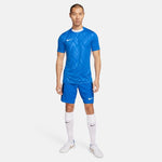 Nike Dri Fit Challenge V Jsy SS T-shirt férfi Póló FD7412463