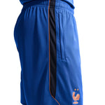 Nike France Dri-Fit FFF Strike Men's kék short férfi