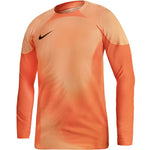 Nike Gardien IV Goalkeeper JSY goalkeeper jersey férfi DH7967819 Kapusmez