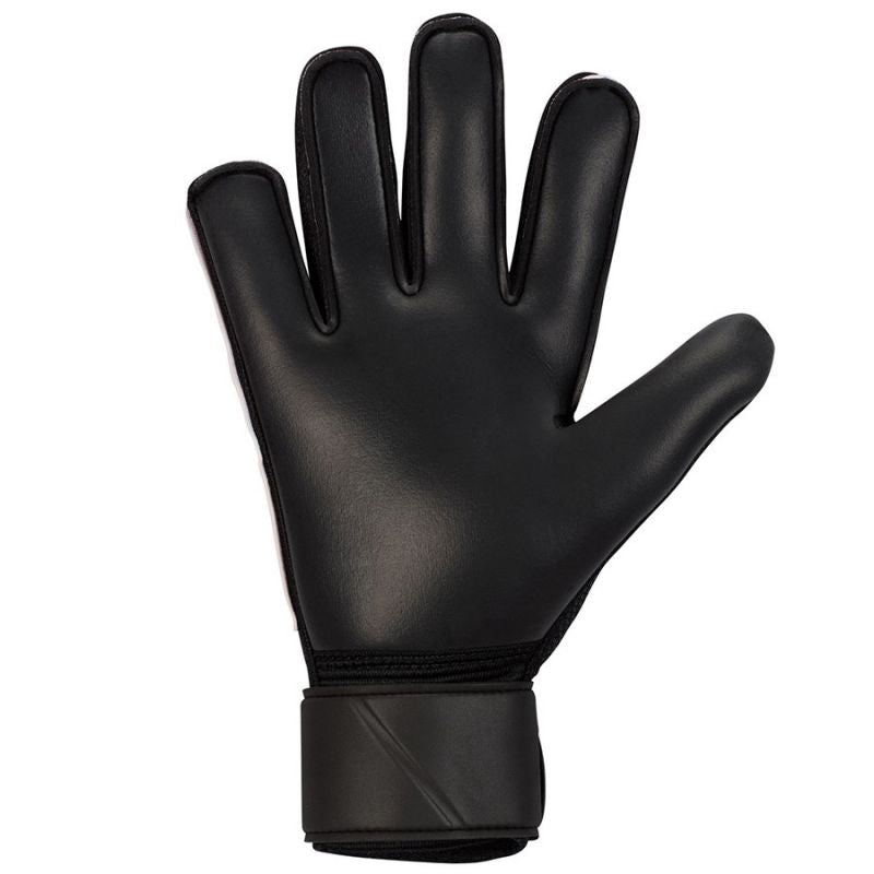 Kép alternatív szöveg