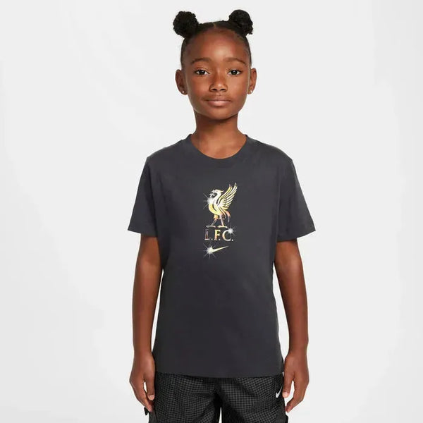 Nike Liverpool FC 24/25 Tee Crest póló, gyerek