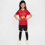 Nike Liverpool FC Academy Pro SS Top Jr póló gyerek FQ0013-688