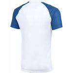 Men's Nike Dri-Fit Academy II T-shirt white and kék férfi póló HV8160103