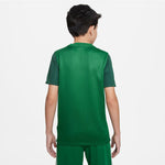 Nike Trophy V JSY Jr T-shirt DR0942-302 Póló - Sportmania.hu