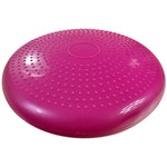 PROfit inflatable disc Edzőfelszerelés DK2111