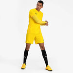 Puma LIGA Baselayer Tee LS Aláöltözet férfi 655920-06