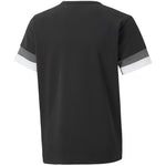 Puma T-shirt Puma teamRise Jersey Jr 704938 03 Póló - Sportmania.hu