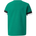 Puma T-shirt Puma teamRise Jersey Jr. 704938 05 Póló - Sportmania.hu