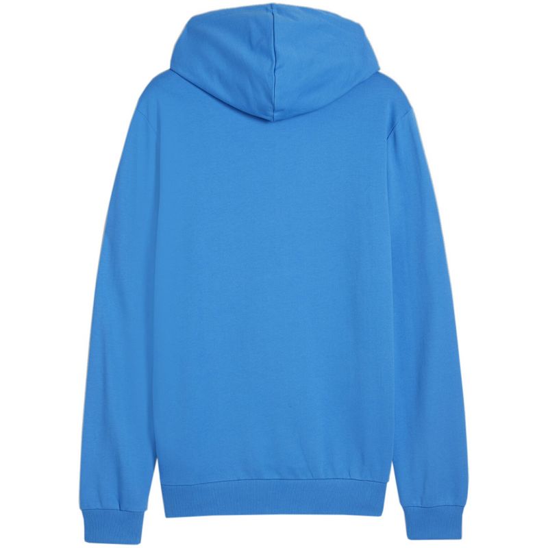 Puma Team Goal Casuals Hooded M 658595 02 sweatshirt Pulóver