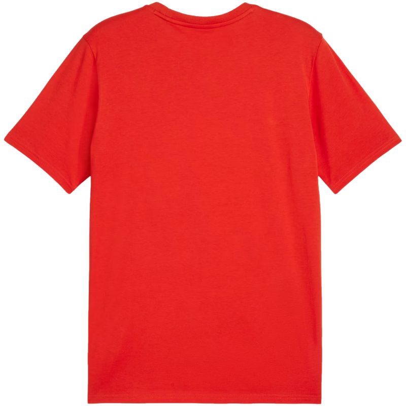 Puma Team Goal Casuals Tee M 658615 01 Póló